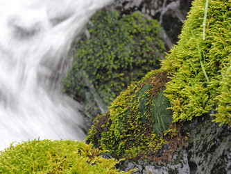 Similar image 22469718