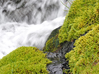 Similar image 22469720