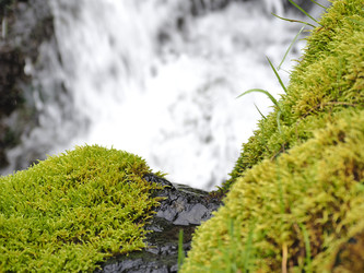 Similar image 22469725