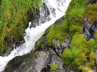 Similar image 22469731