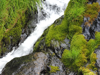 Similar image 22469732