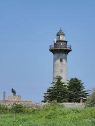 Similar image 22469736