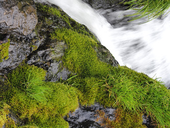 Similar image 22469748