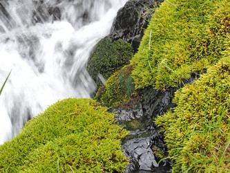 Similar image 22469749