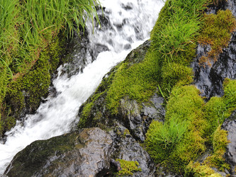 Similar image 22469751