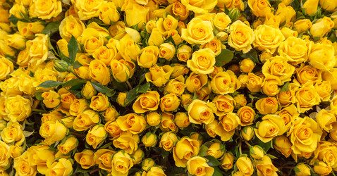 Similar image 22458593