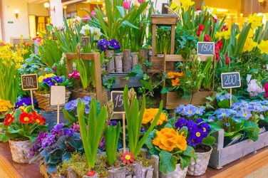 Similar image 22458595