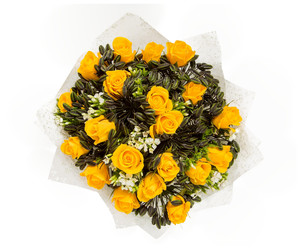 Similar image 22458603