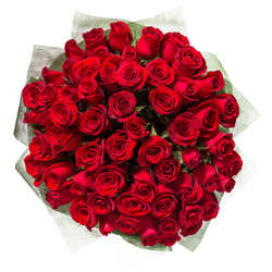 Similar image 22458608