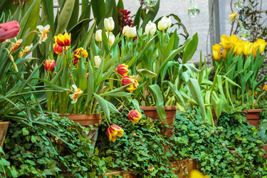 Similar image 22458609