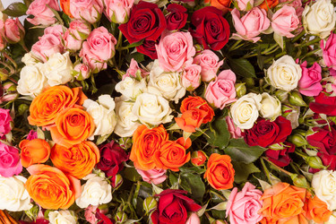 Similar image 22458612