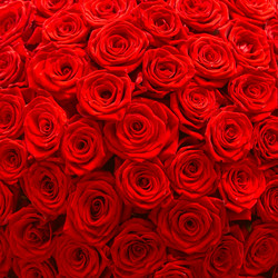 Similar image 22458618