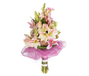 Similar image 22458619