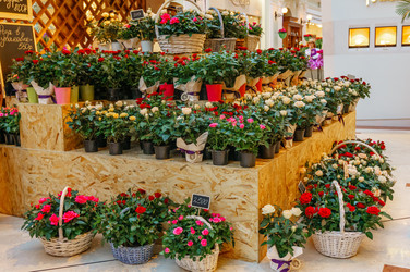 Similar image 22458626