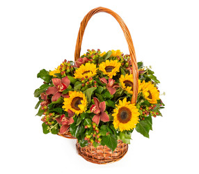 Similar image 22458630