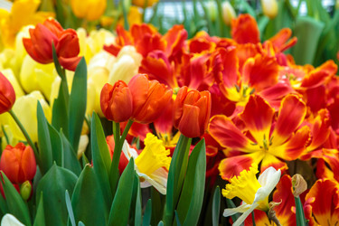 Similar image 22458632