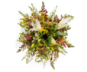 Similar image 22458634