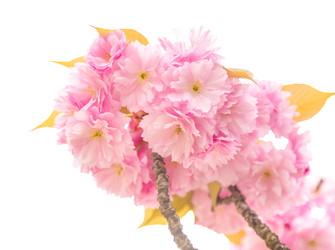 Similar image 22458646