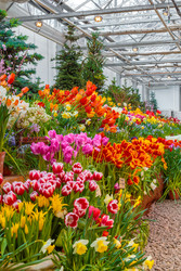 Similar image 22458650