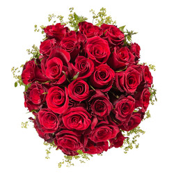 Similar image 22458653