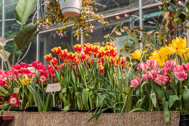 Similar image 22458654