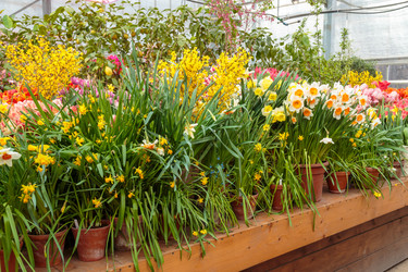 Similar image 22458661