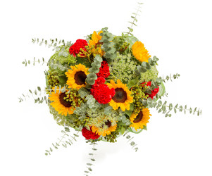 Similar image 22458662