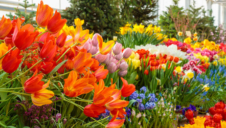 Similar image 22458689