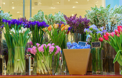 Similar image 22458690