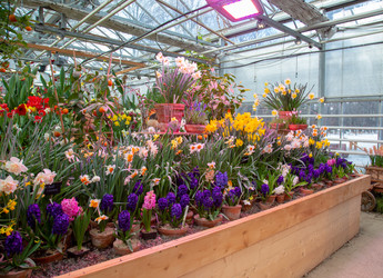 Similar image 22458695