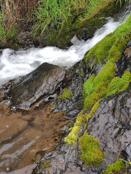 Similar image 22469809