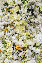 Similar image 22458714