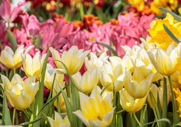 Similar image 22458718