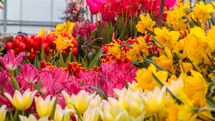 Similar image 22458726