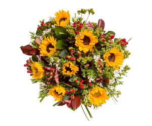 Similar image 22458736