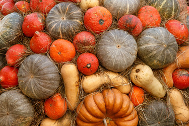 Similar image 22458743