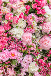 Similar image 22458747