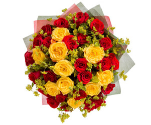 Similar image 22458749