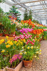 Similar image 22458754