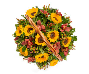 Similar image 22458755