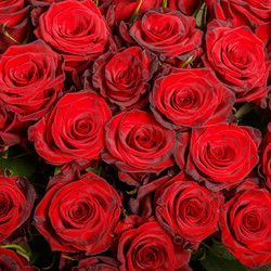 Similar image 22458758