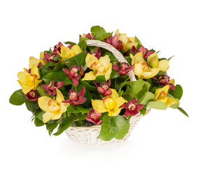 Similar image 22458763