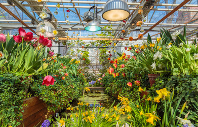 Similar image 22458767