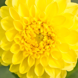 Similar image 22458780