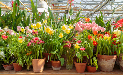 Similar image 22458784