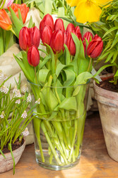 Similar image 22458789