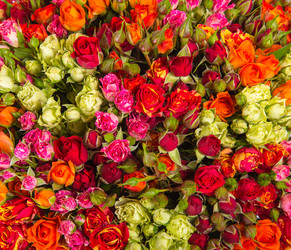 Similar image 22458790