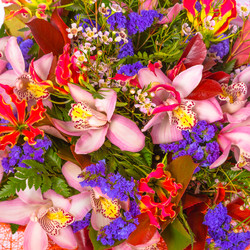 Similar image 22458801