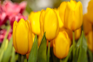 Similar image 22458809