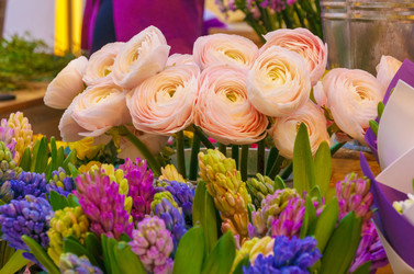 Similar image 22458942